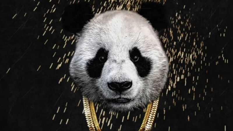 Panda door Desiigner: songteksten en recensie
